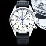 TW Factory IWC Pilot Series IW378003 Silver Steel Case Diameter 43mm Watch